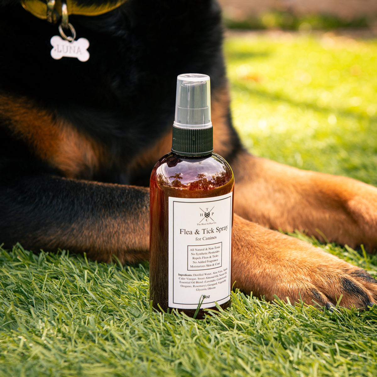 Flea & Tick Spray for Dogs